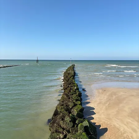 Loovael Vue Sur Port De Plaisance Et Courseulles-sur-Mer